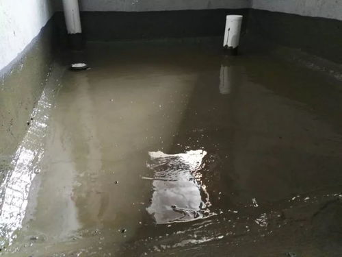 水深不语,人稳不言 深刻