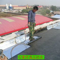 石家庄市禹王防水保温工程公司专业防水维修服务及报价